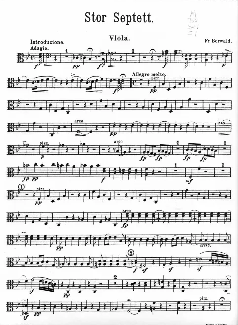 Viola