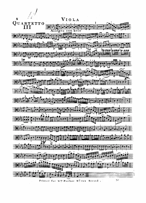 Viola
