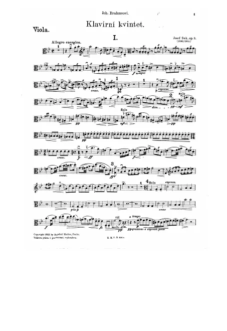 Viola