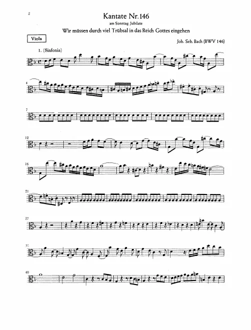 Violas