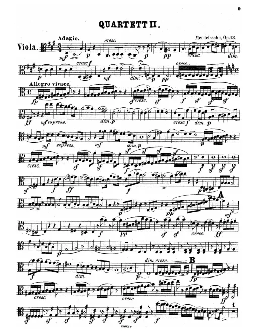 Viola