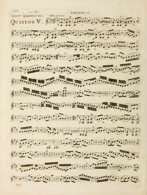 Violin 2