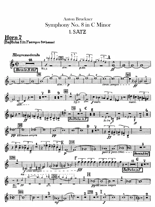 Horn 7 (B/F)/Bass Wagner Tuba 1 (F)