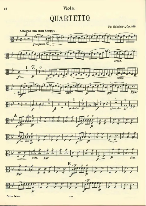 Viola