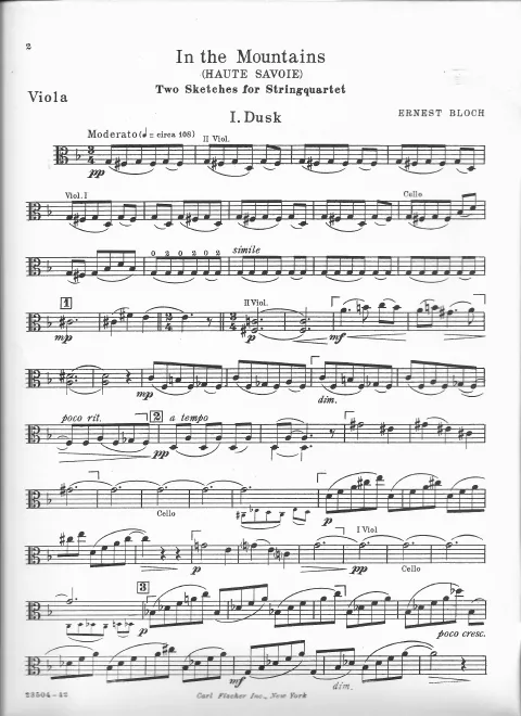 Viola