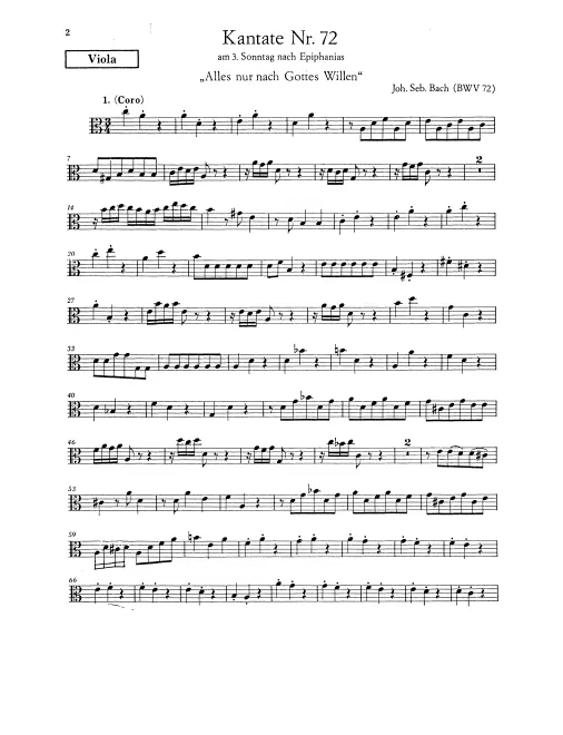 Violas