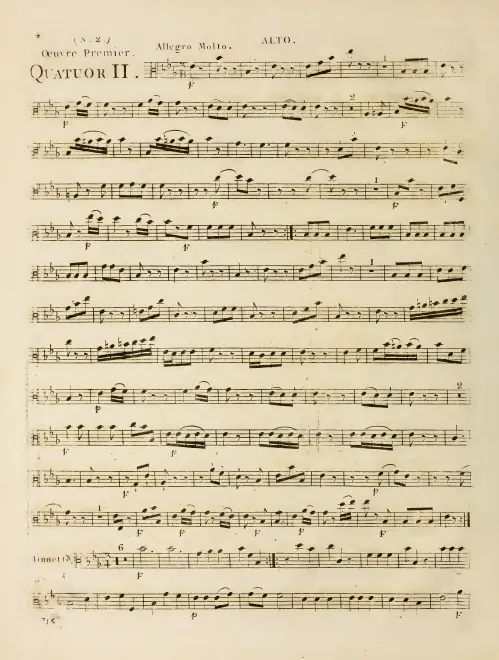 Viola