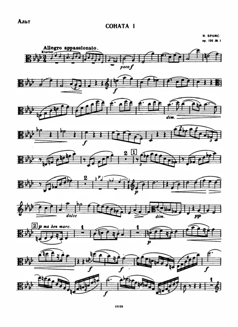 Viola