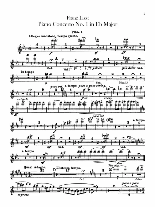 Flute 1