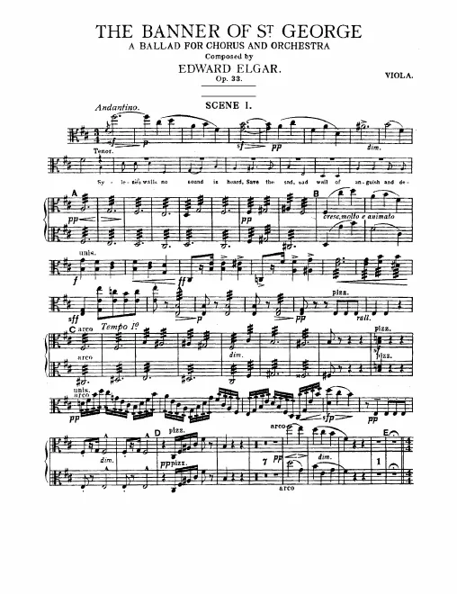 Violas