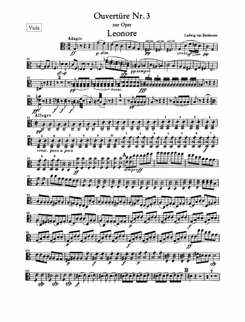 Violas