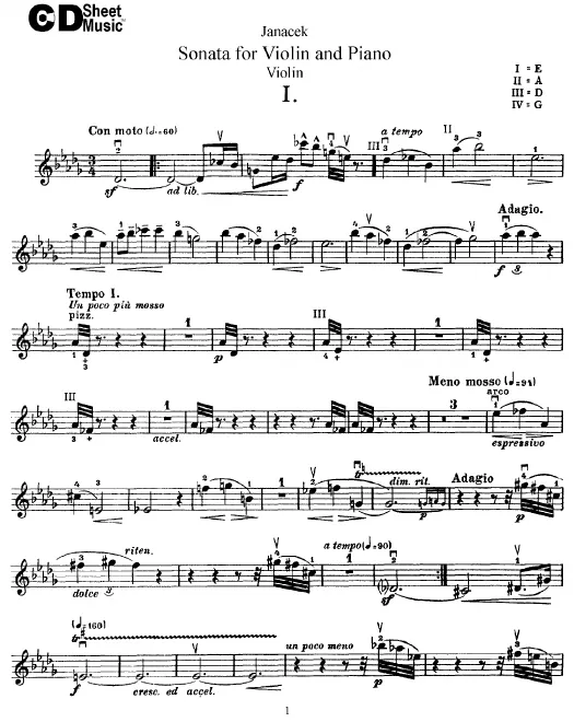 Violin