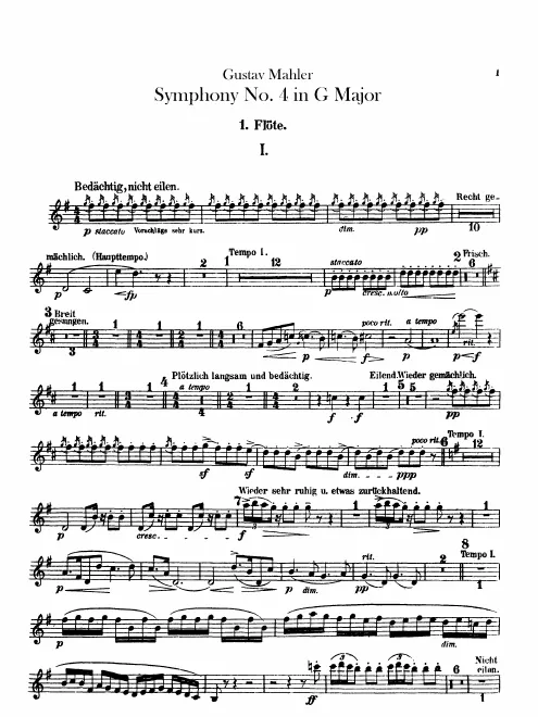 Flute 1