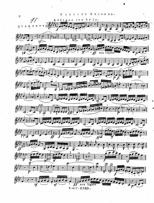 Violin 2
