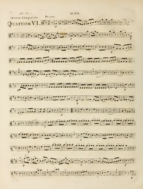 Viola