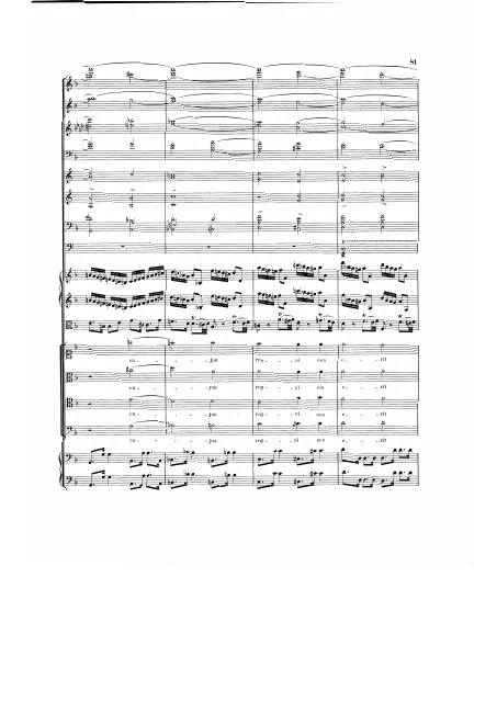 Segment 3
