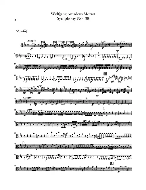 Violas