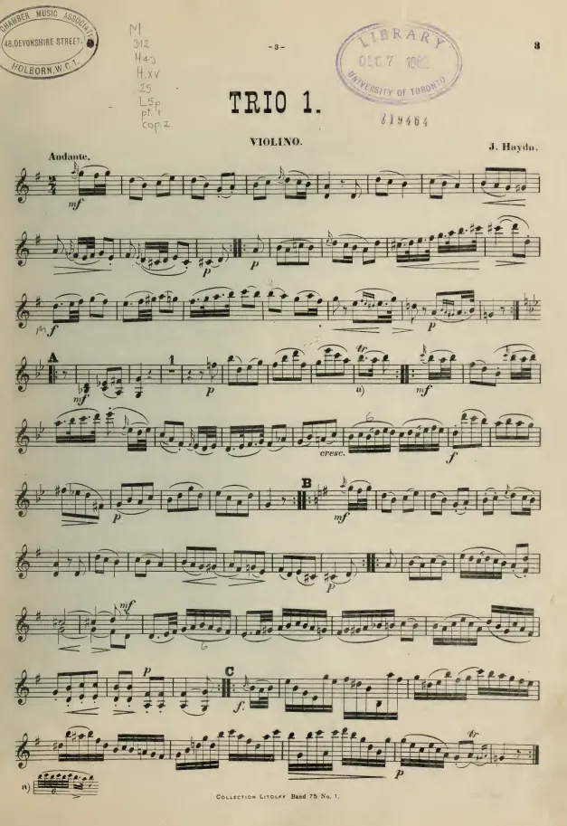Violin