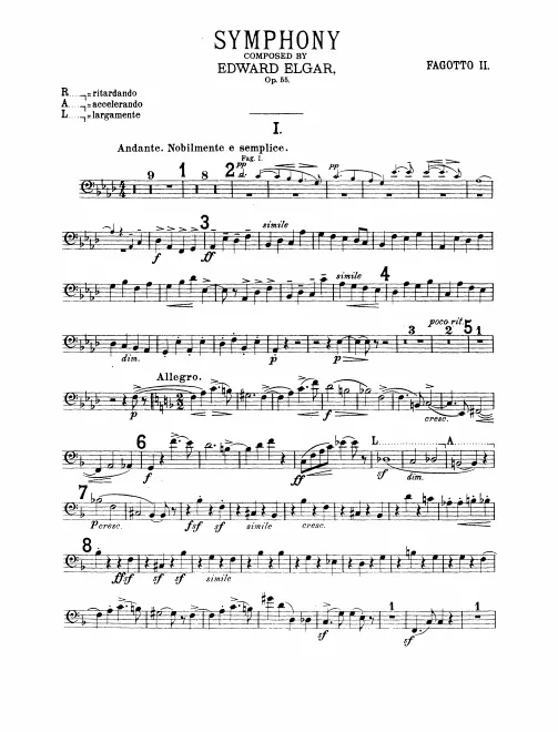 Bassoon 2