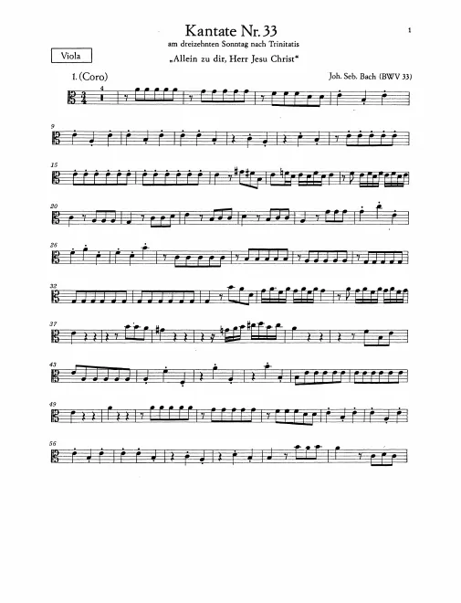 Violas
