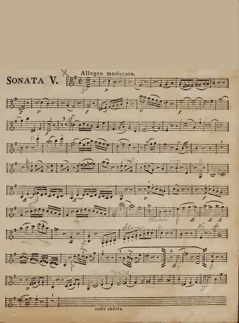 Violin