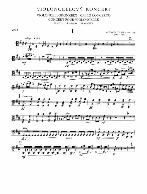 Violas