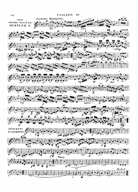 Violin 2