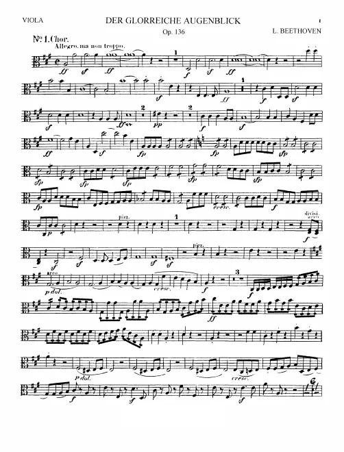 Violas