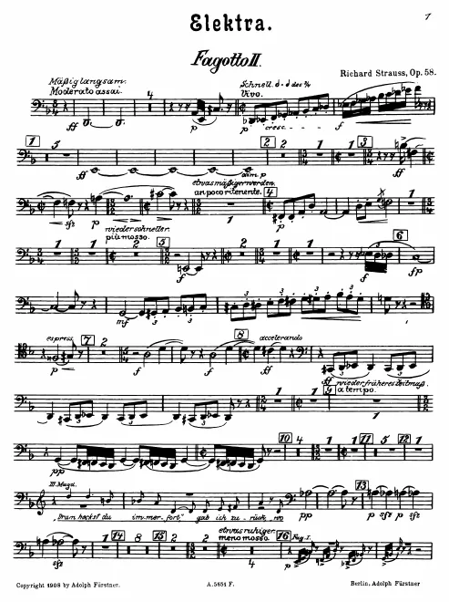 Bassoon 2