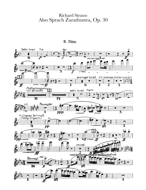 Flute 2