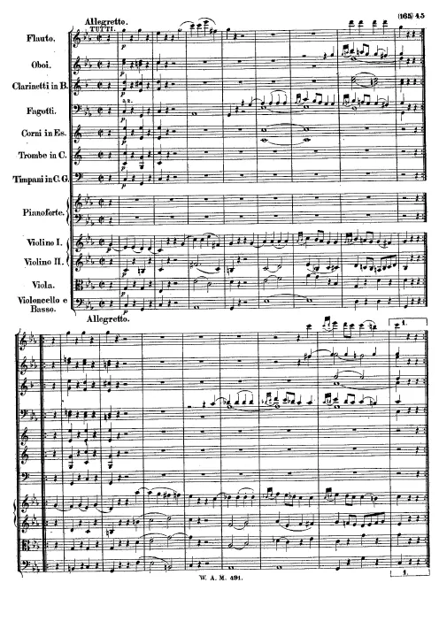 III. Allegretto