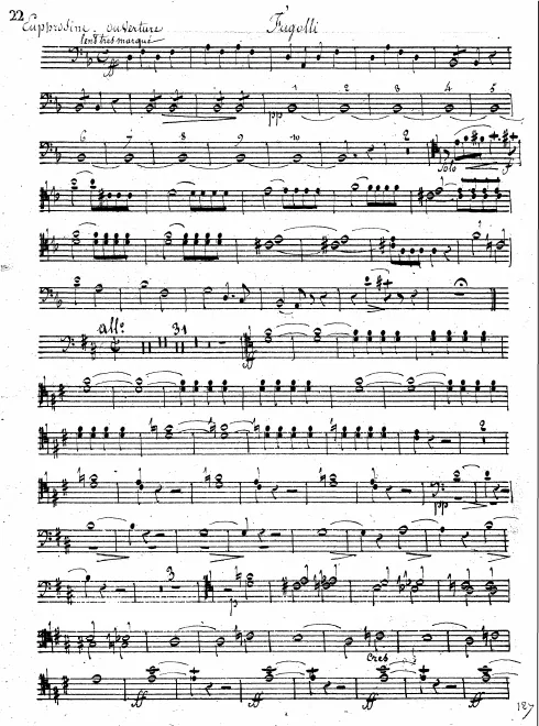 Bassoon 1/2