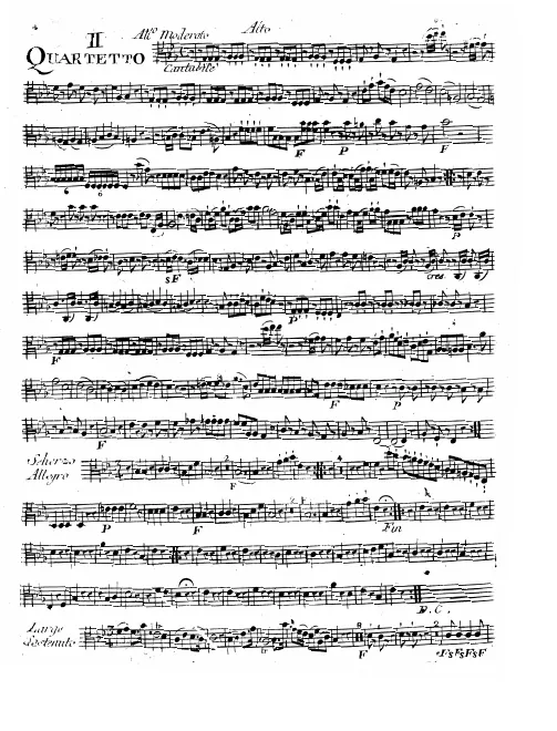 Viola
