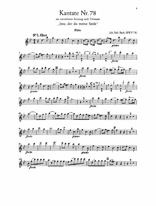 Flute