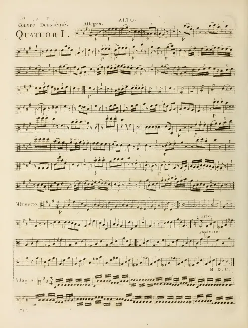 Viola