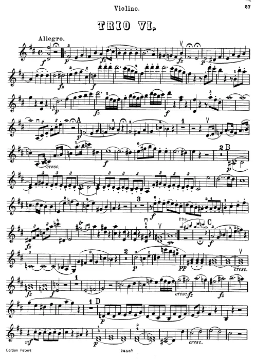Violin