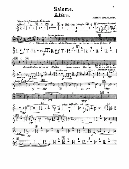 Horn 3