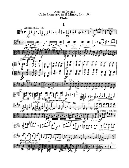 Violas