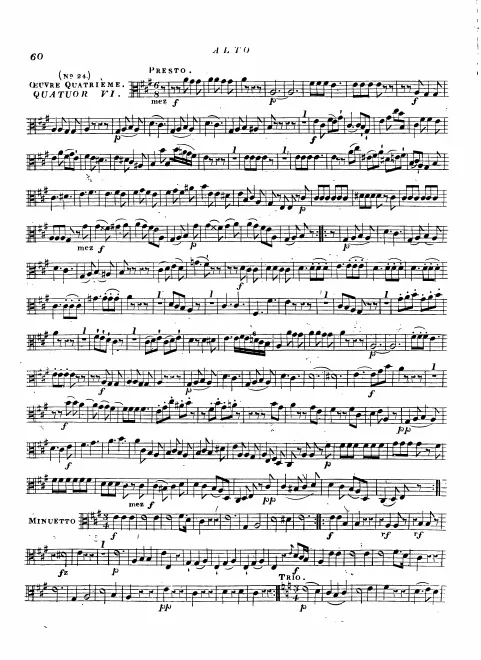 Viola