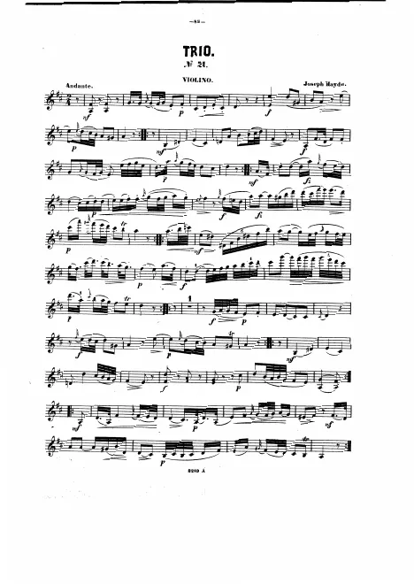 Violin
