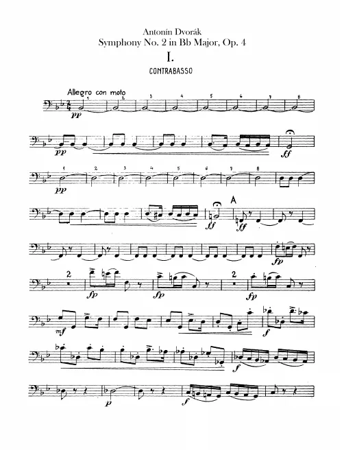Basses