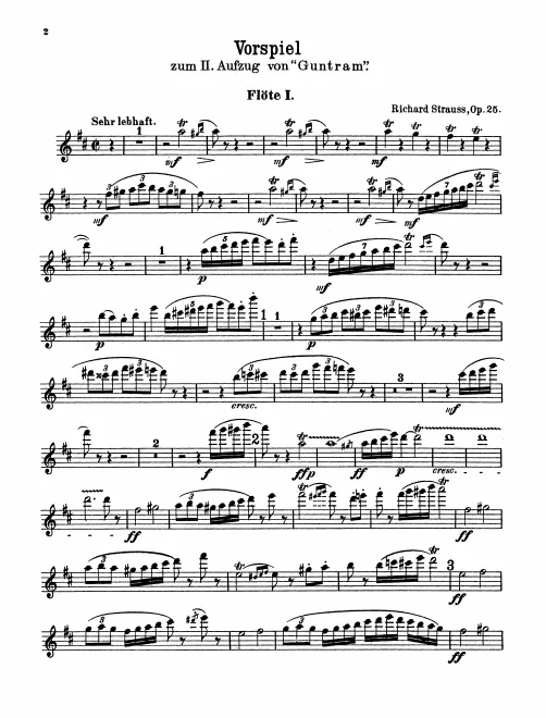 Flute 1, 2, 3/Piccolo