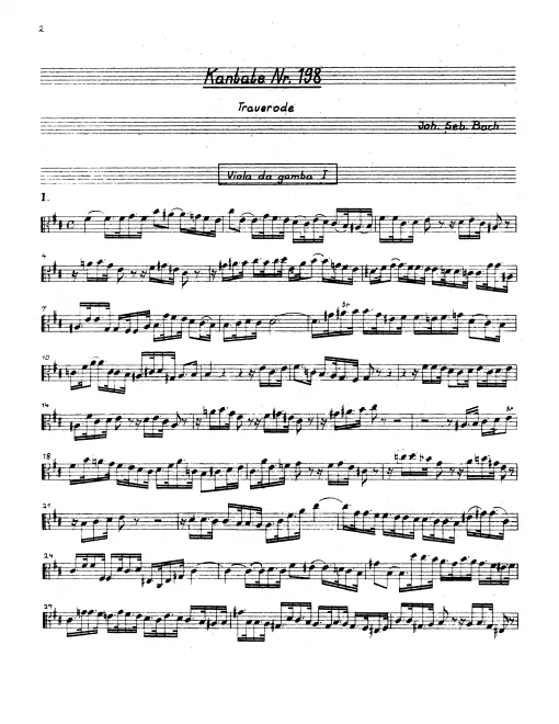 Viola da gamba 1