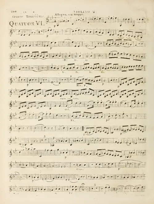 Violin 2