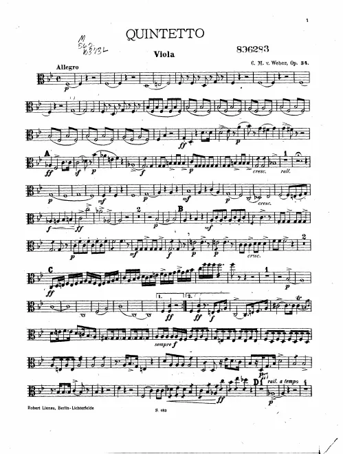 Viola