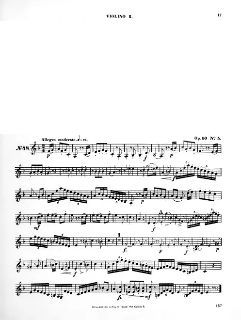 Violin 2
