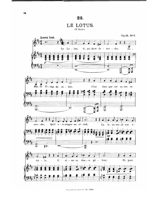 7. Die Lotosblume