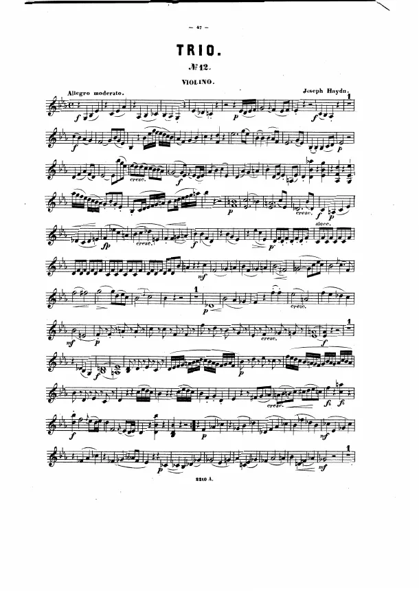 Violin
