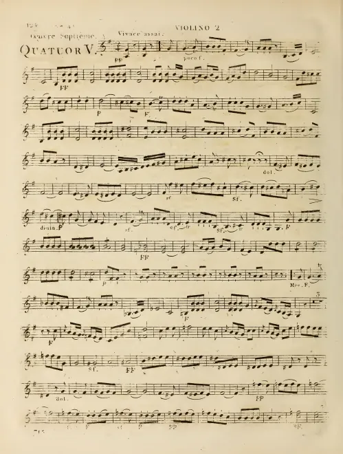 Violin 2