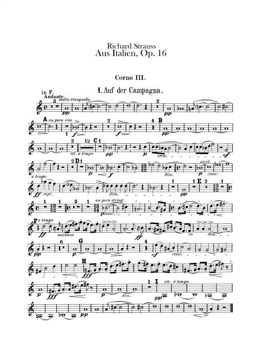 Horn 3 (F/E/D)